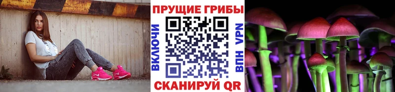 Псилоцибиновые грибы Psilocybine cubensis  площадка клад  Пушкино  кракен зеркало 