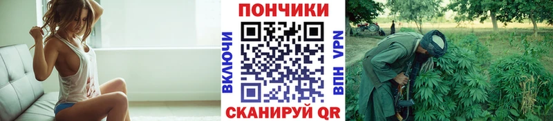 Шишки марихуана сатива  Пушкино 